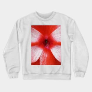 closeup macro photography of bright red and white dahlia bloom Crewneck Sweatshirt